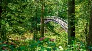 Schwarzwald und Schw&auml;bische Alb vereint + &Uuml;bernachtung f&uuml;r 39&euro;