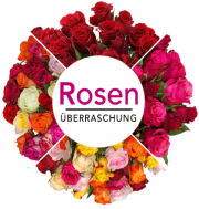  Rosen&uuml;berraschung mit 41 Rosen (50cm Stiell&auml;nge) f&uuml;r 22,98&euro; statt 45,98&euro;