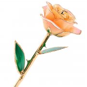 24k vergoldet Echt Rose, Geschenk der Liebe (wei&szlig;-rosa)