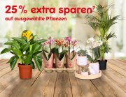 25% Rabatt auf ausgew&auml;hlte Garten- und Zimmerpflanzen bei Netto