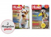Fundiert, verst&auml;ndlich, unterhaltsam 2 Ausgaben der Hund Gratis jetzt Testen