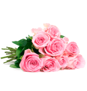 26 Rosen "MagicalMoments" nur 19,98&euro; incl. Versand