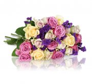 Delicate Colors - 18 pastellfarbene Rosen schon f&uuml;r 18,90&euro; inkl. Versand