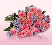 18 rosafarbene Rosen nur 18,90&euro; inkl. Versand