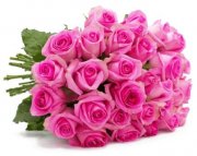 28 Rosen &bdquo;PinkDiamonds&ldquo; f&uuml;r 19.98&euro;