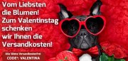 Weinvorteil Ausverkauf bis 60 % Rabatt + keine Versandkosten
