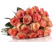 20 rosafarbene Rosen f&uuml;r nur 18,90&euro; statt 34,90&euro;