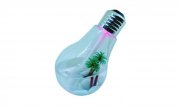 2er Set BerryKing originale Healthbulb f&uuml;r 18,95&euro; statt 29,90&euro; ebay WOW