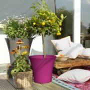  2er-Set Emsa 15544 Blumenk&uuml;bel City, &Oslash; 25 cm f&uuml;r 11,24&euro; statt 19,99&euro;