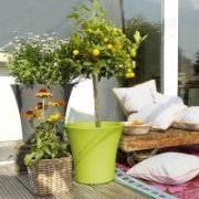  2er-Set Emsa 15546 Blumenk&uuml;bel City, &Oslash; 35 cm f&uuml;r 20,12&euro; statt 35,99&euro;