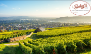 3 bis 4 Tage Kurzurlaub f&uuml;r 2 Personen im Fachwerkhotel im romantischen Rheingau inkl. Fr&uuml;hst&uuml;ck