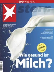 3 Monate Stern (13 Ausgaben) f&uuml;r 67,60 Euro + 65 Euro Verrechnungsscheck