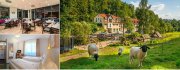 3 &Uuml;N im Th&uuml;ringer Wald inkl. Fr&uuml;hst&uuml;ck, Wellness & mehr f&uuml;r 64,99&euro; p.P.