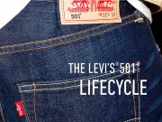 30% Rabatt auf alles von Levi's und das ohne Mindestbestellwert!!!
