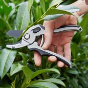 Gartenschere f&uuml;r 0&euro;