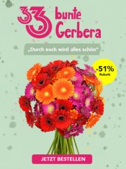 33 bunte Gerbera f&uuml;r 20,98&euro; statt 37,98&euro;