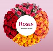 Miflora Rosen&uuml;berraschung - 28 Rosen nur 14,90 &euro; inkl. Versand