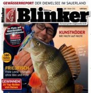 Dealpreis! Keine Pr&auml;mie! 12 Monate Blinker nur 7,95 &euro; statt 68,40 &euro;