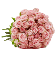 35 "LovelyRoses" f&uuml;r 20,98&euro; incl. Versand statt 39,98&euro;