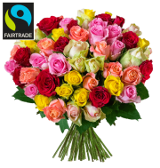 37 bunte FAIRTRADE Rosen f&uuml;r 19,98&euro; incl. Versand statt 42,98&euro;