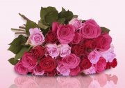26 pinke und rote Rosen nur 18,89&euro; inklusive Versand