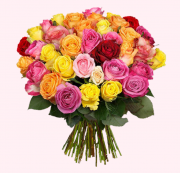 42 langstielige Rosen f&uuml;r nur 23,94 &euro; inkl. Versand