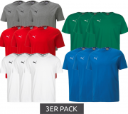 3er Pack Puma TeamGOAL 23 Casual Herren Baumwoll T-Shirts in 5 Farben
