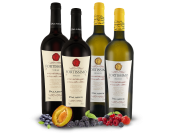 4 FL. Weinpaket Fortissimo f&uuml;r 34,94&euro; statt 60,51&euro;