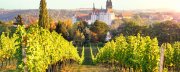  4-Sterne Hotel Dorint Parkhotel Meissen f&uuml;r ab 69&euro; statt 142&euro;