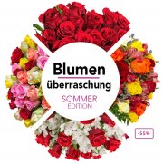 40 Rosen f&uuml;r &euro; 22,98 anstatt &euro; 44,98 bei Blume Ideal