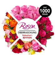 40 Rosen&uuml;berraschung: 40 Rosen f&uuml;r 27,98&euro; incl. VSK statt 44,98&euro;