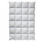 Billerbeck Daunendecke E05 Polaris nur 99,99 &euro; inkl. Versand