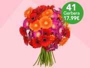41 bunte Gerbera f&uuml;r 22,98&euro;