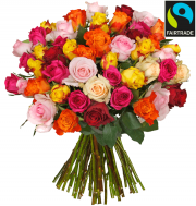  44 Rosen "HappyNewYear" f&uuml;r 23,98&euro; incl. Versand statt 48,98&euro;