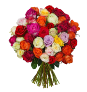44 "SweetRoses" f&uuml;r 23,98&euro; incl VSK