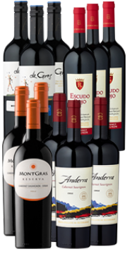 8+4 Probierpaket "Hochgenuss aus Chile" Jede 3. Flasche gratis!