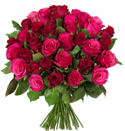  45 "RomanticRoses" nur 24,98&euro;