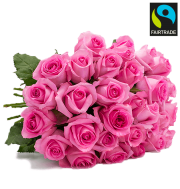  45 Rosen "PinkDiamonds" nur 24,98&euro; incl. VSK statt 49,98&euro;