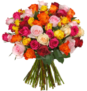 45 "ShinyRoses" nur 24,98&euro; statt 49,98&euro; - passend zum Weltfrauentag (8.3.2019)