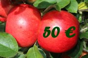 50 % Rabatt auf Lubera Geschenkgutscheine *HOT