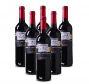 6 Flaschen Bodegas Vinedos Contralto gratis beim Kauf von 6 Flaschen eines Weins