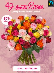 47 bunte Fairtrade Rosen f&uuml;r 24,98&euro; incl. VSK statt 51,98&euro;