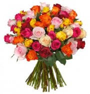 47 "ColourfulRoses" nur 24,98&euro; inkl. Versand