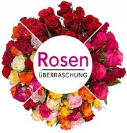 47 Rosen Rosen&uuml;berraschung f&uuml;r 24,98&euro; statt 51,98&euro;
