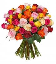 50 &bdquo;Classic Roses&ldquo; f&uuml;r 24,98 &euro; inkl. Versand