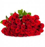 50 rote Rosen "Classic Red" bei Blume Ideal f&uuml;r 24,98&euro; inkl. Versand