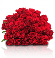 55 Rosen "ClassicRed" f&uuml;r 29,98&euro;