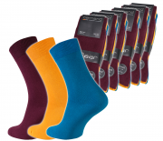 18er Pack camano Str&uuml;mpfe nur 12,99 &euro;