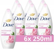 6 St&uuml;ck 250 ml Dove Duschgel Wohltuende Pflege Duschbad mit Pfingstrose & Rosen&ouml;l