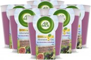 6 St&uuml;ck Air Wick Wohlf&uuml;hl-Duftkerze im Glas &ndash; Duft: Brombeerbl&uuml;te und Wildfeige